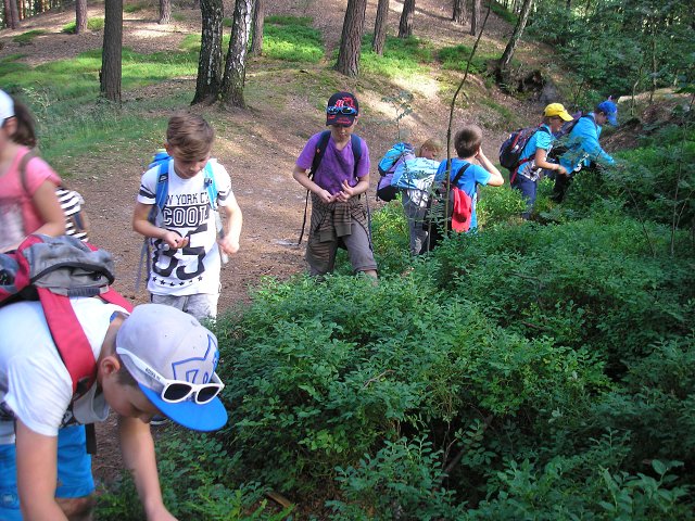 img00006.jpg