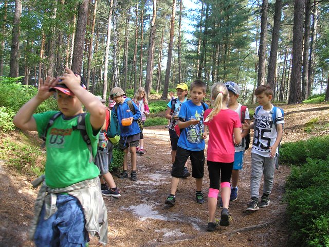 img00008.jpg