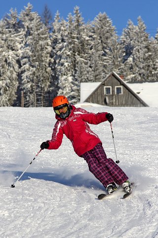 img00036.jpg