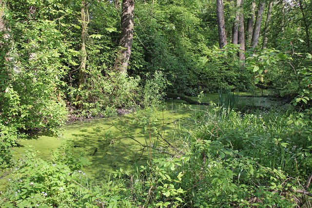 img00007.jpg