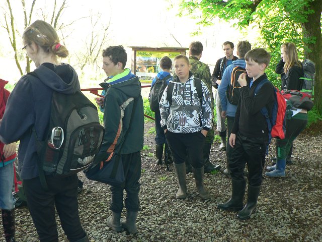 img00040.jpg