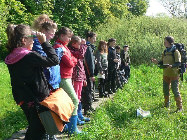 img00049.jpg