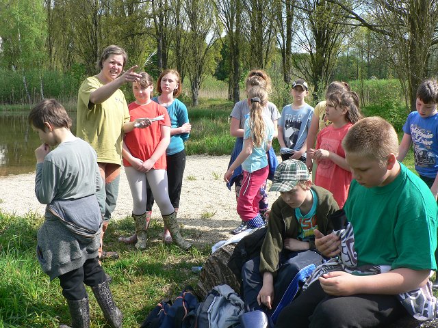 img00063.jpg