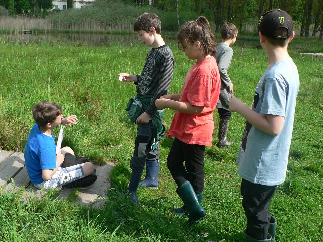 img00069.jpg