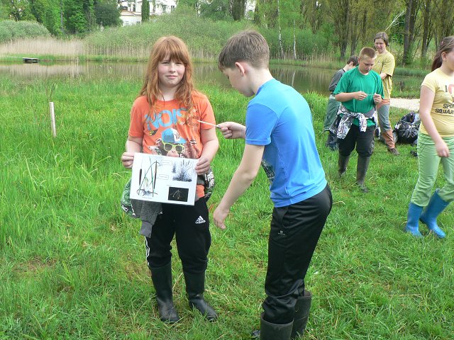 img00070.jpg
