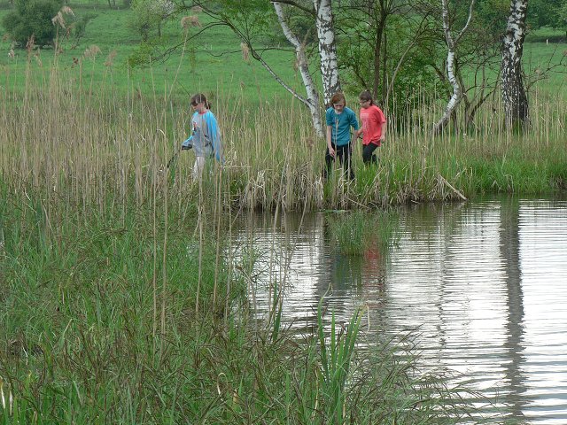 img00078.jpg