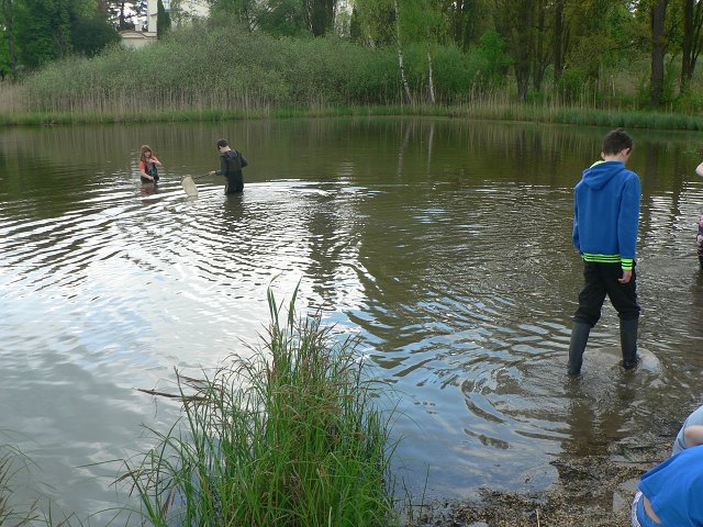 img00085.jpg