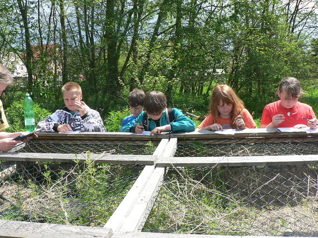 img00094.jpg