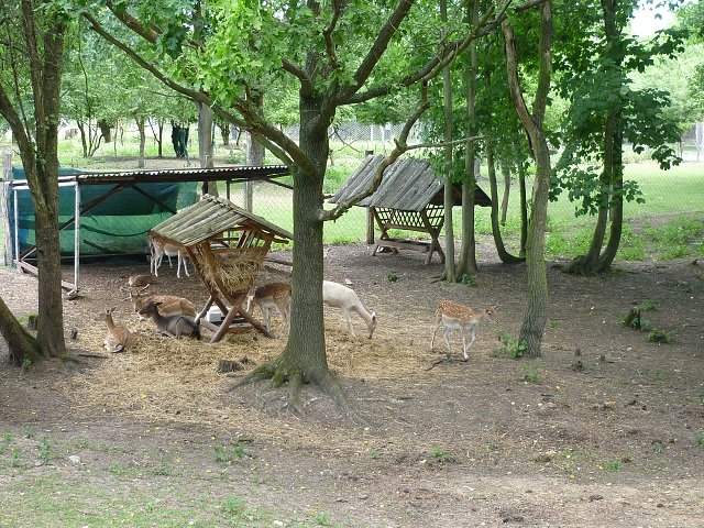 img00007.jpg