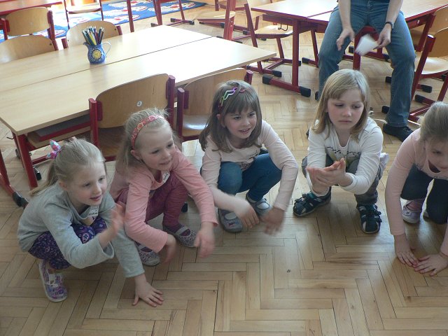 img00006.jpg