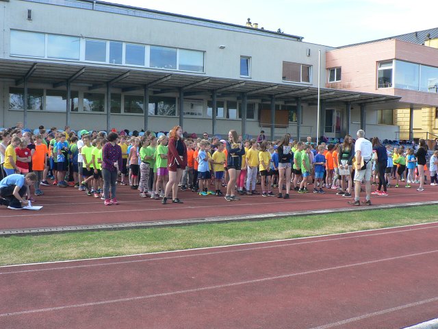 img00007.jpg