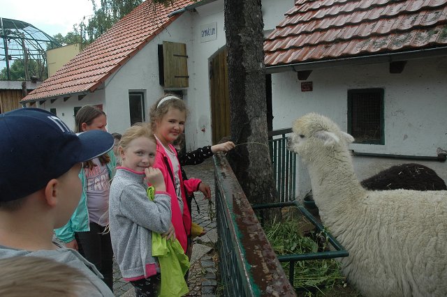 img00030.jpg