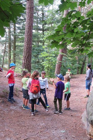 img00019.jpg
