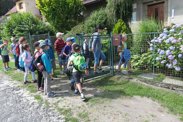 img00023.jpg
