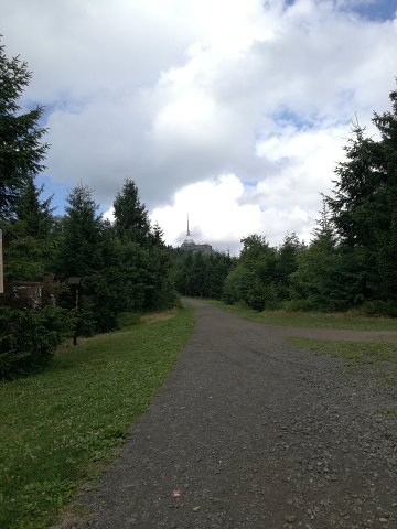img00010.jpg