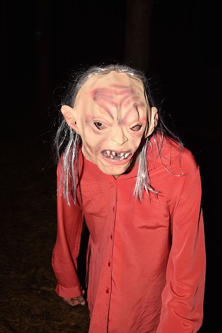 img00061.jpg
