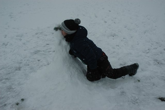 img00010.jpg
