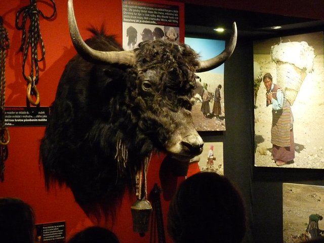 img00047.jpg