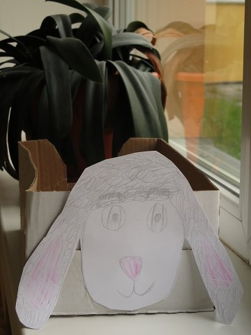 img00029.jpg