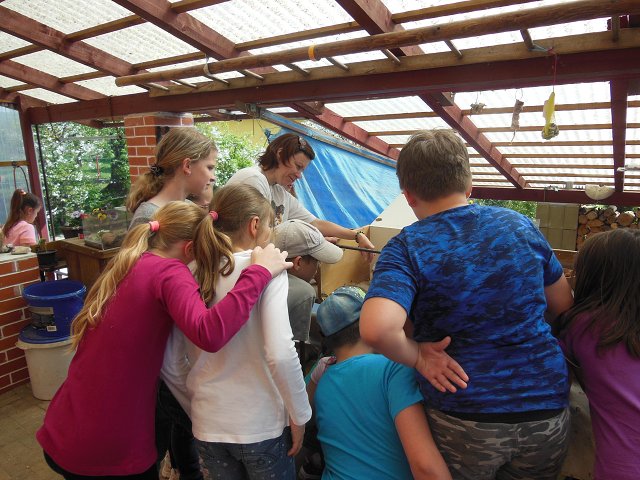 img00027.jpg