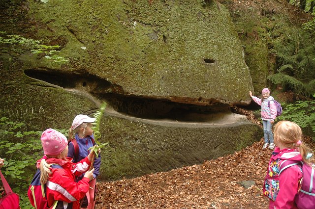 img00014.jpg