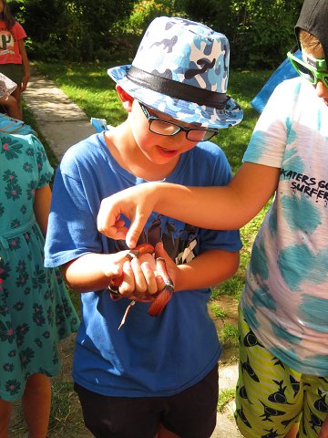 img00008.jpg