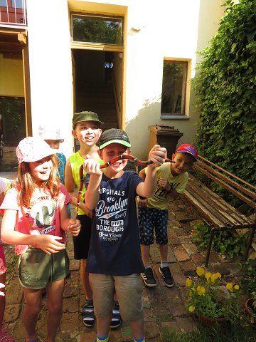 img00014.jpg