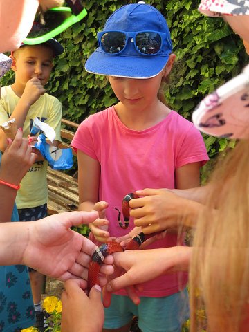 img00016.jpg