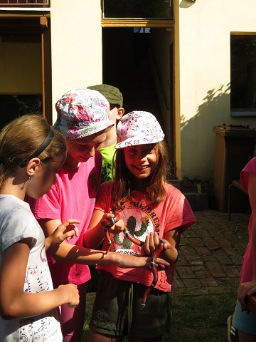 img00020.jpg