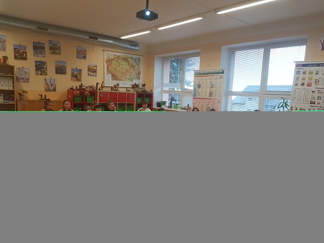 img00009.jpg